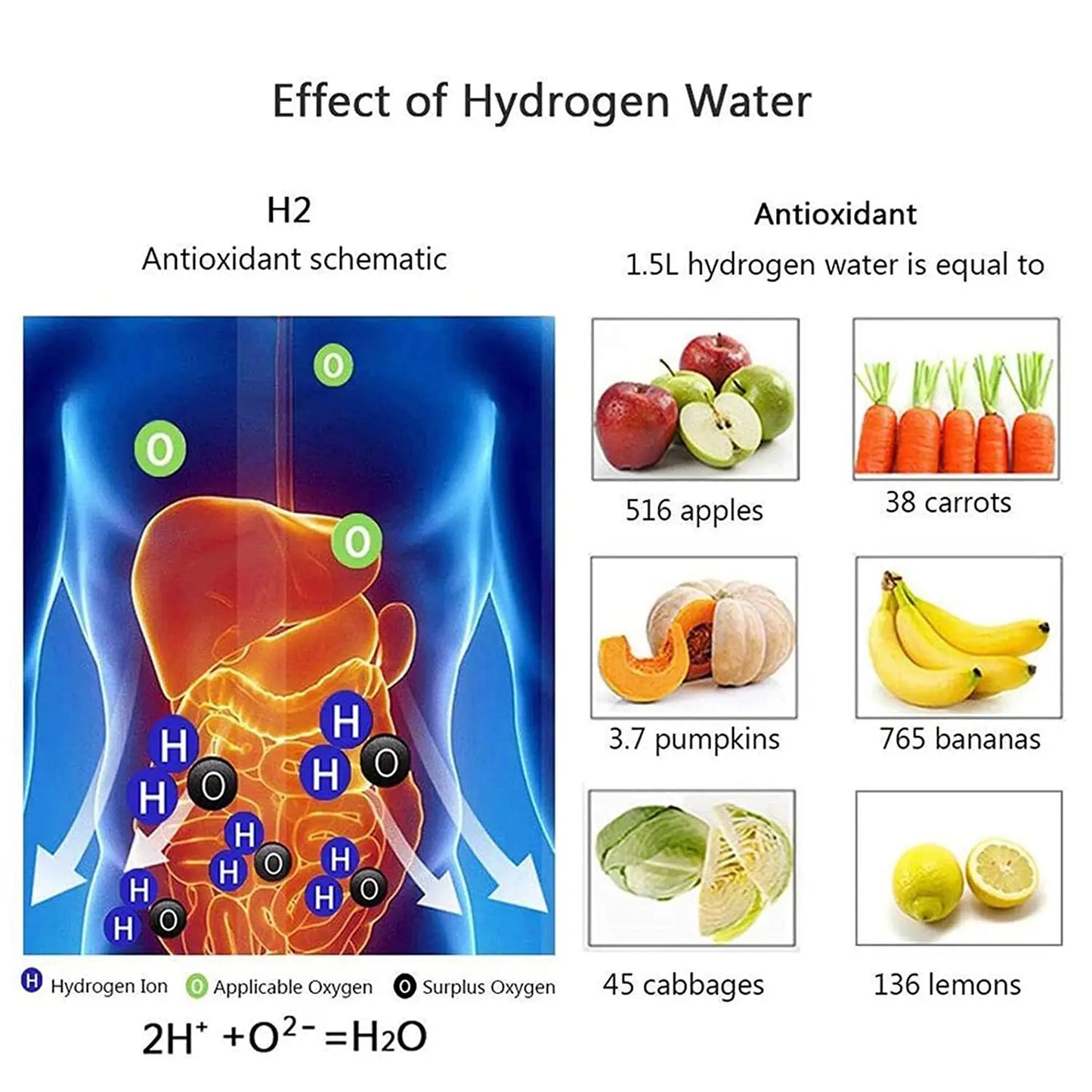 HydroGenius Water Revitalizer - Buy Gifts 4 You by NX3