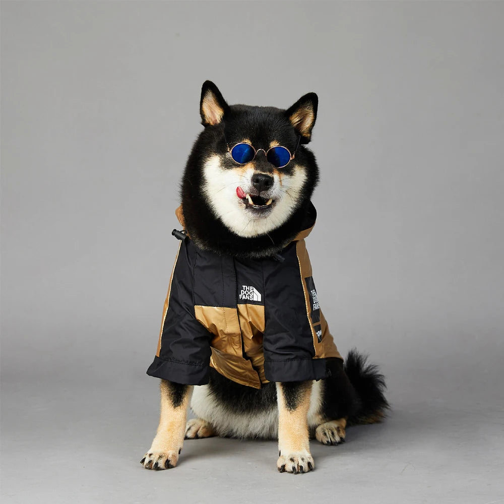 Gold Luxury Dog Clothes Waterproof Jacket Raincoat - Buy Gifts 4 You by NX3