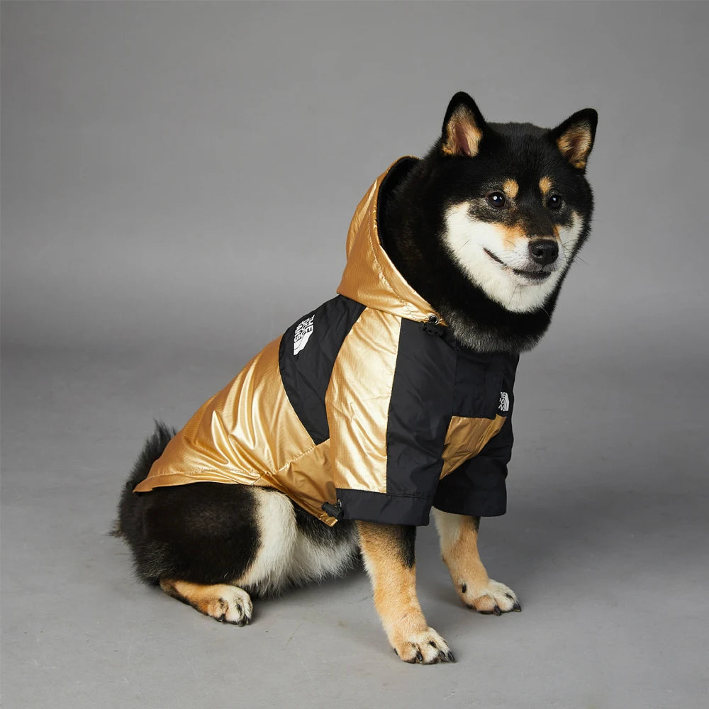 Gold Luxury Dog Clothes Waterproof Jacket Raincoat - Buy Gifts 4 You by NX3