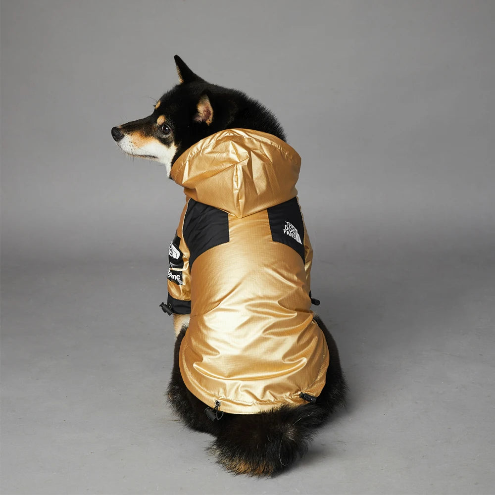 Gold Luxury Dog Clothes Waterproof Jacket Raincoat - Buy Gifts 4 You by NX3