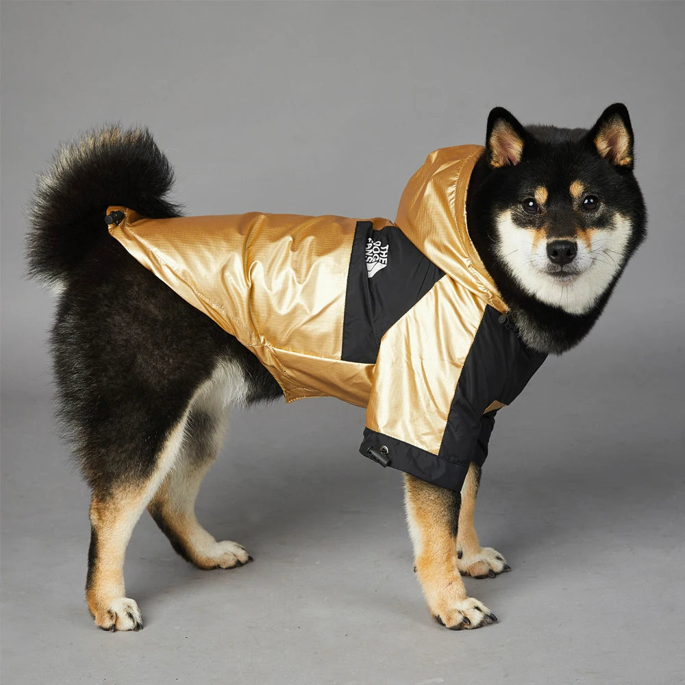 Gold Luxury Dog Clothes Waterproof Jacket Raincoat - Buy Gifts 4 You by NX3